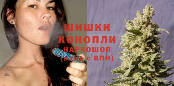 спайс Бородино